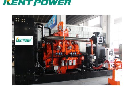 Genset Biogas Series