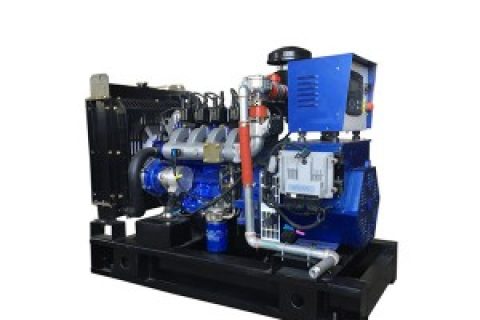 Genset Gas Alam Series