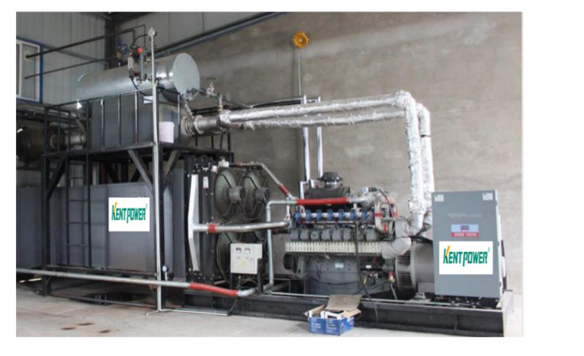 Genset Biogas Series